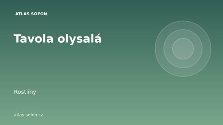 Tavola olysalá