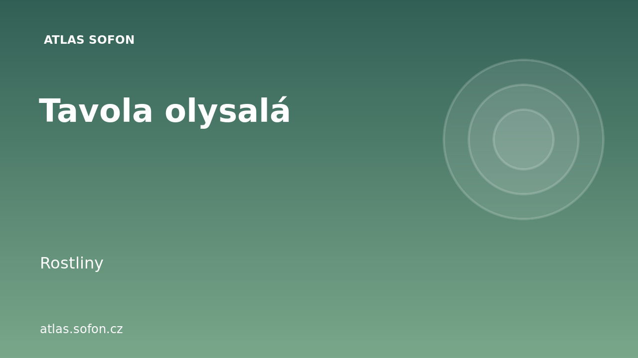 Tavola olysalá