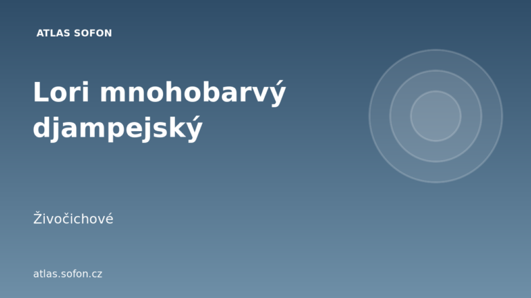 Lori mnohobarvý djampejský