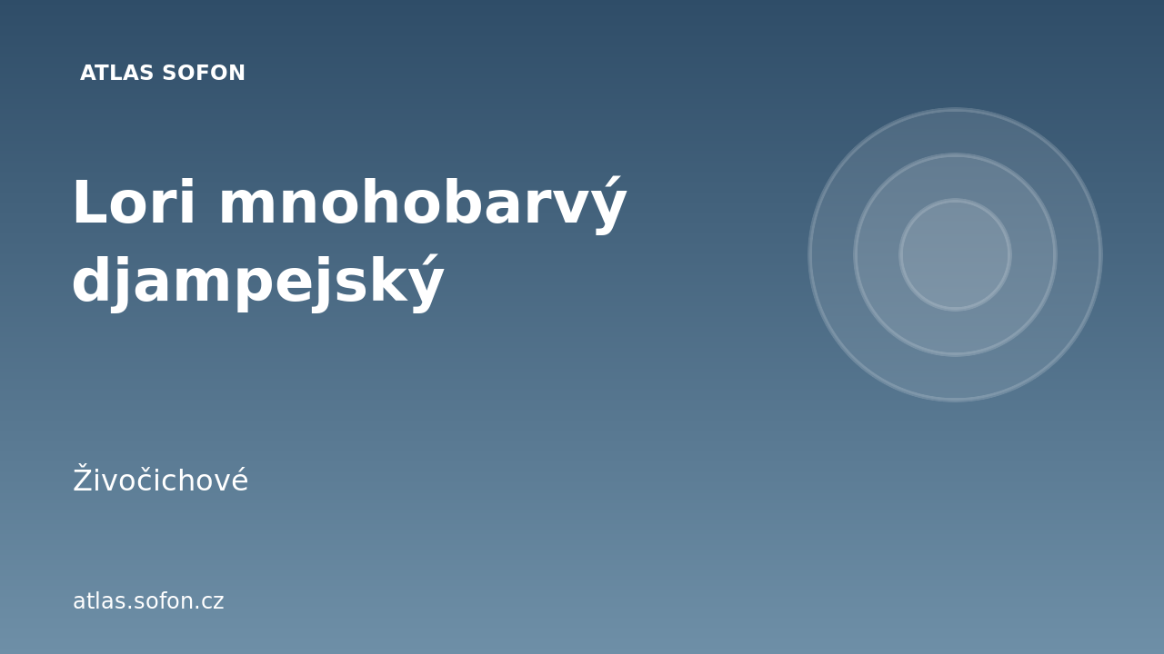 Lori mnohobarvý djampejský
