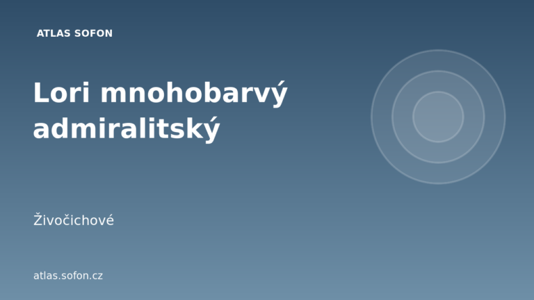 Lori mnohobarvý admiralitský