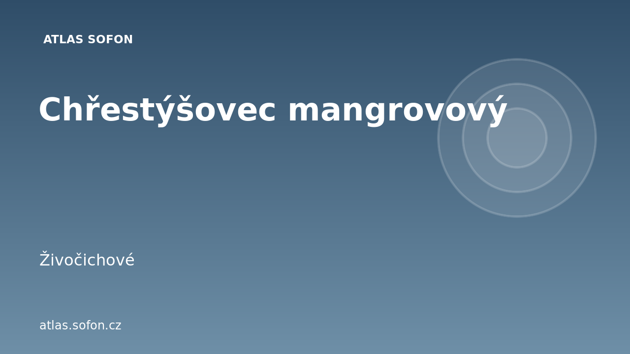 Chřestýšovec mangrovový