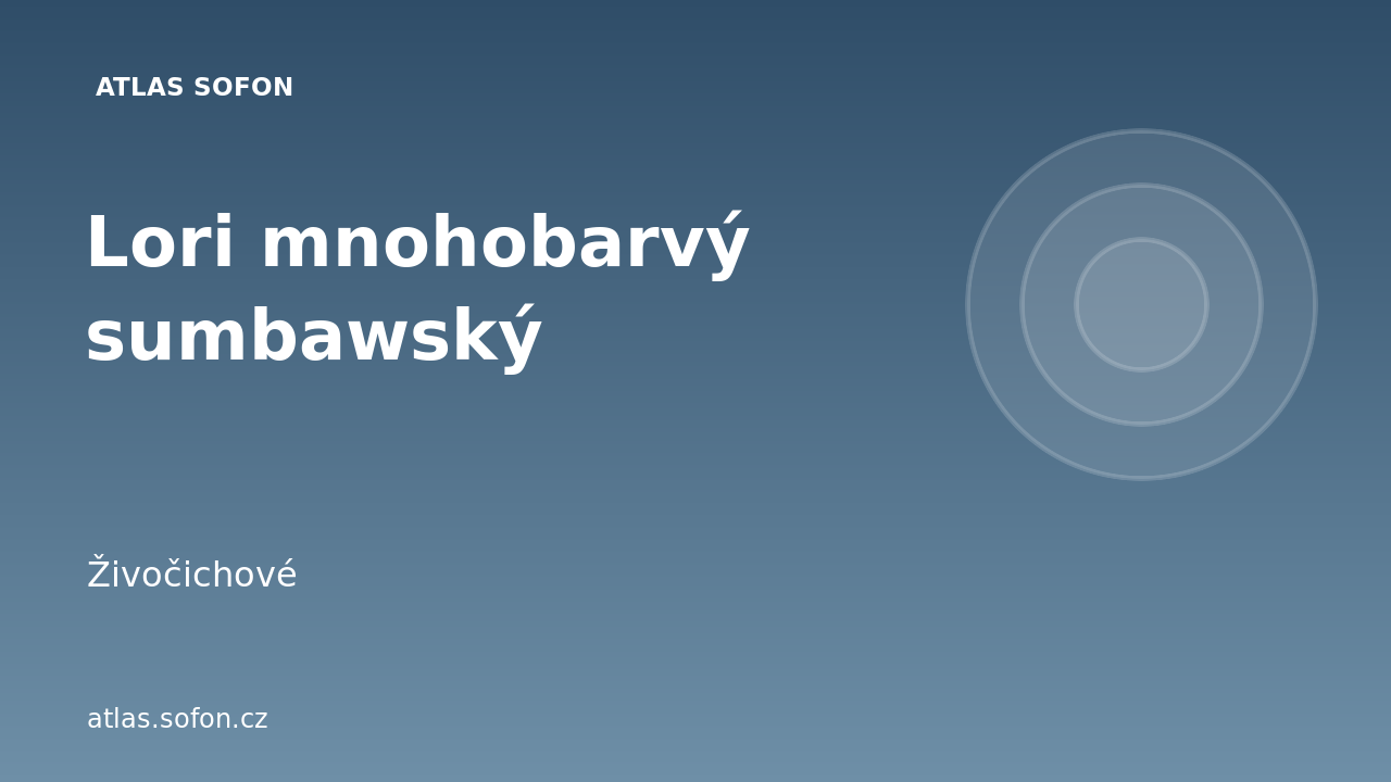 Lori mnohobarvý sumbawský