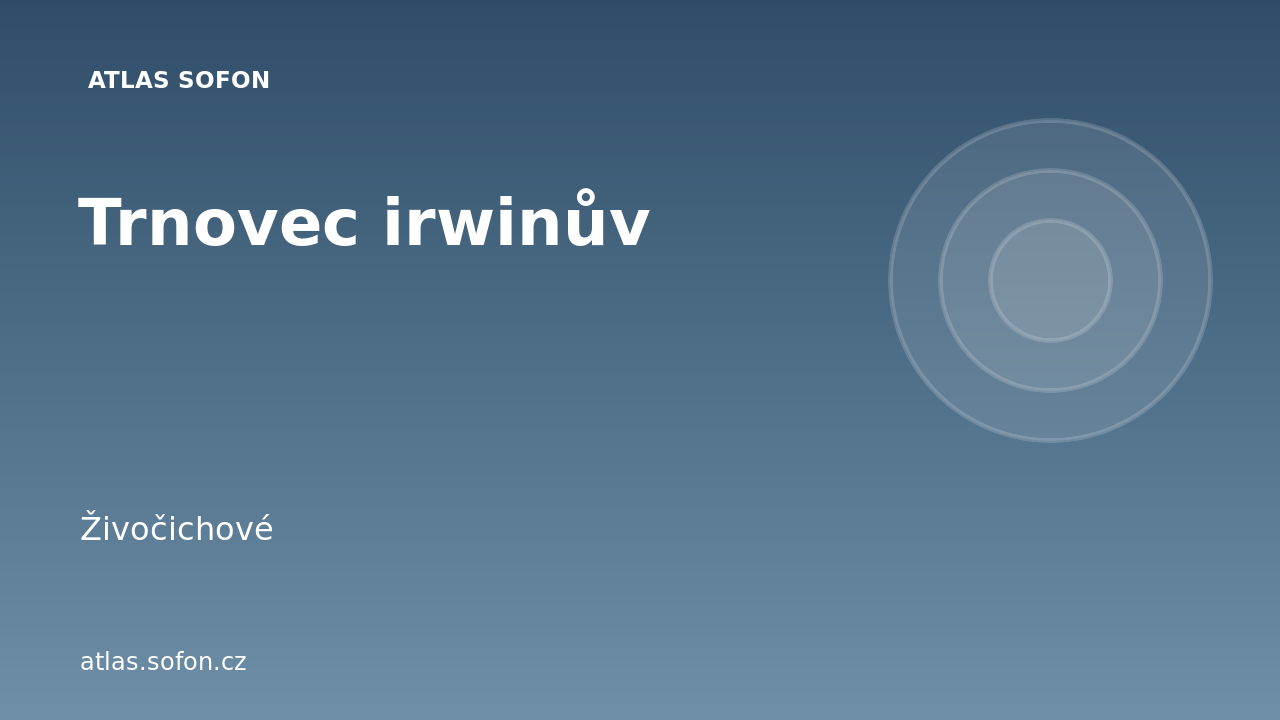 Trnovec irwinův