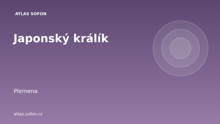 Japonský králík