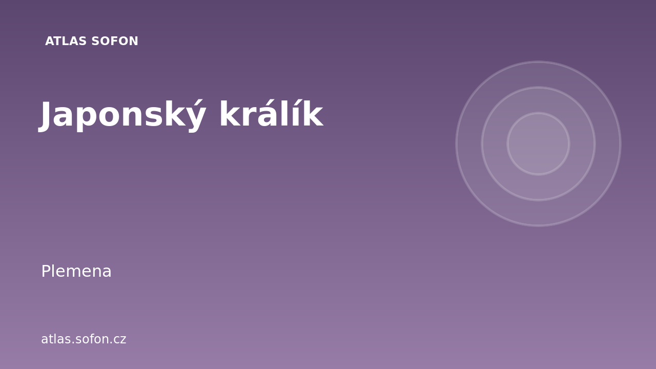 Japonský králík