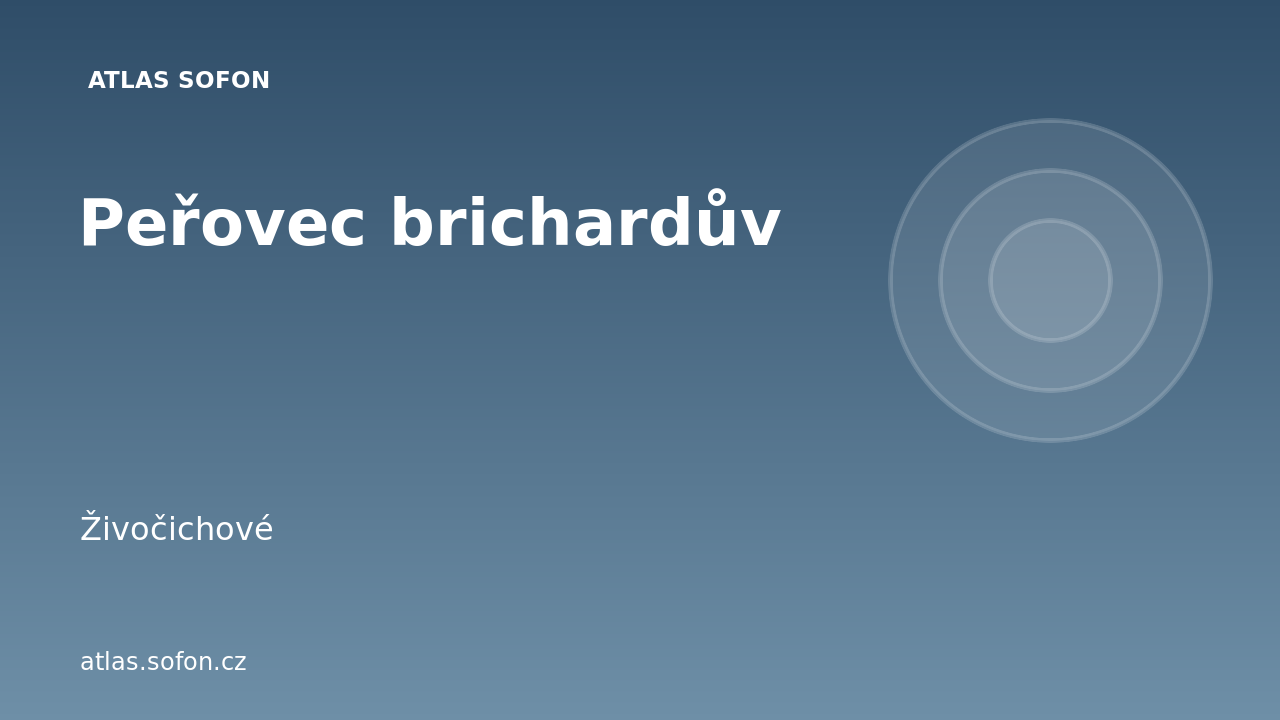 Peřovec brichardův