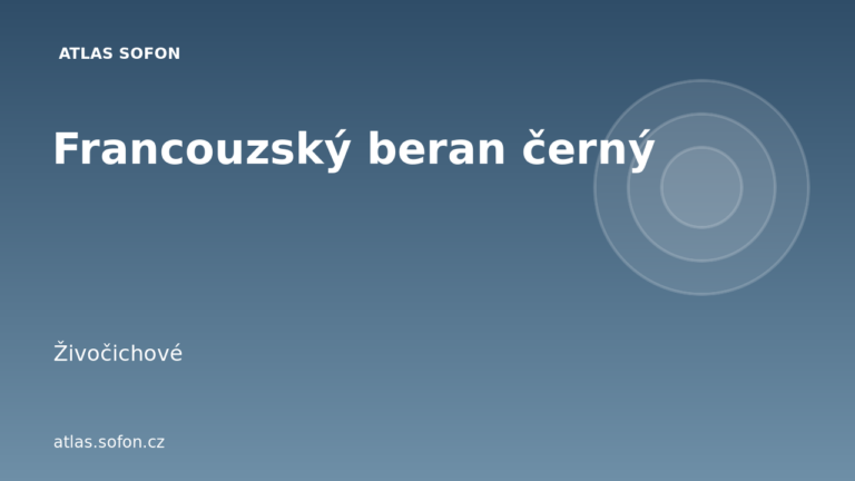 Francouzský beran černý