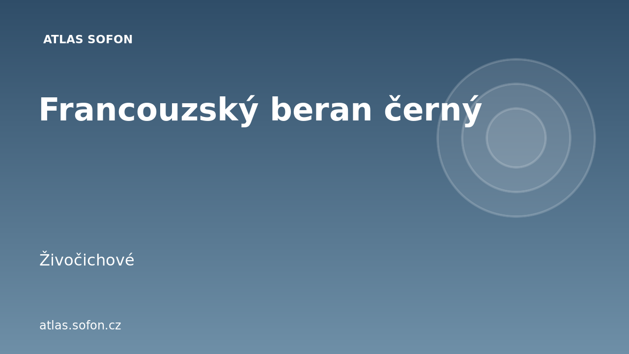 Francouzský beran černý