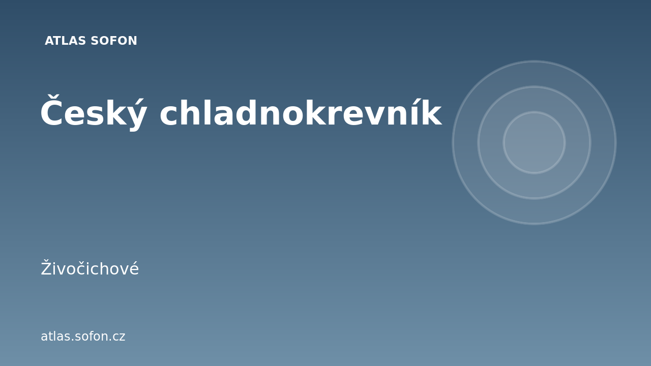Český chladnokrevník