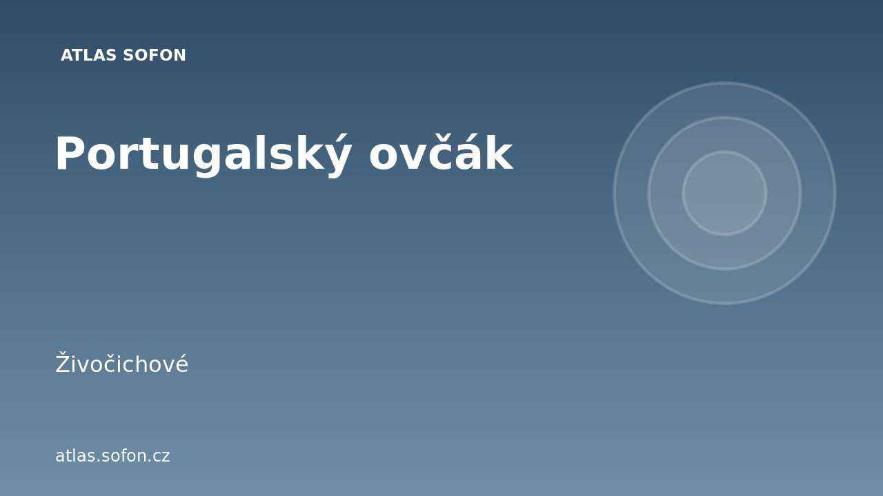 Portugalský ovčák