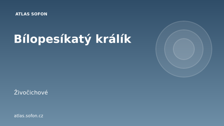 Bílopesíkatý králík