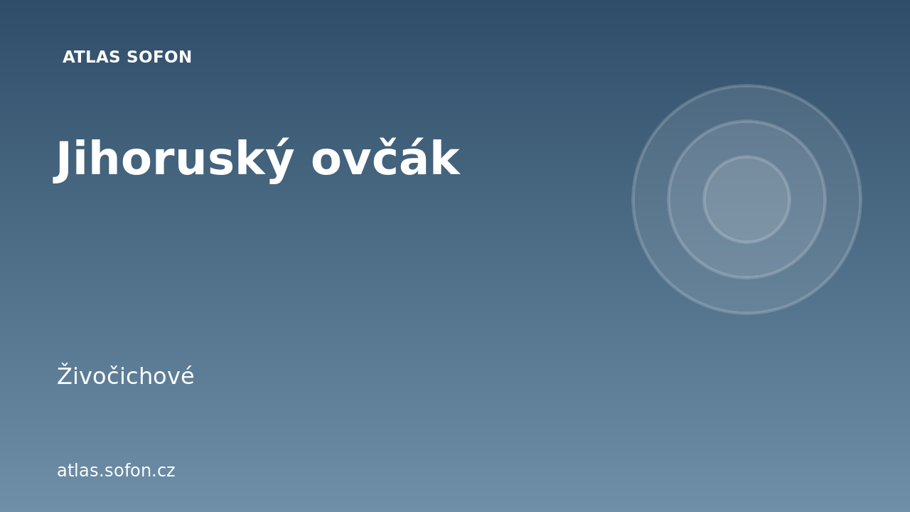 Jihoruský ovčák