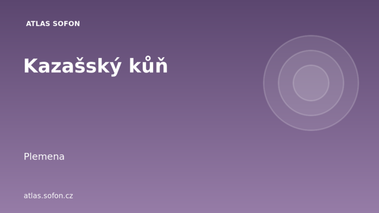 Kazašský kůň