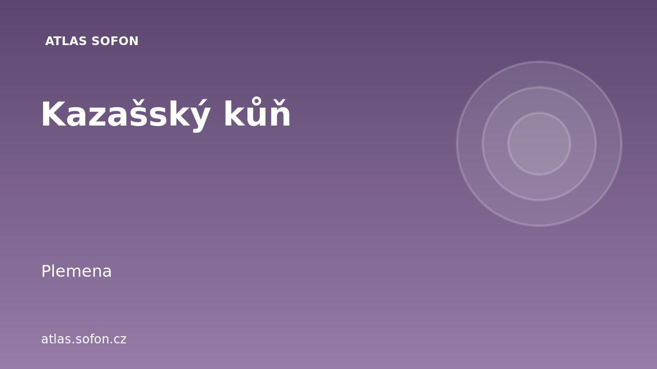 Kazašský kůň