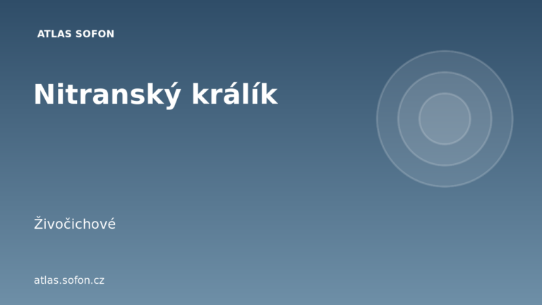 Nitranský králík