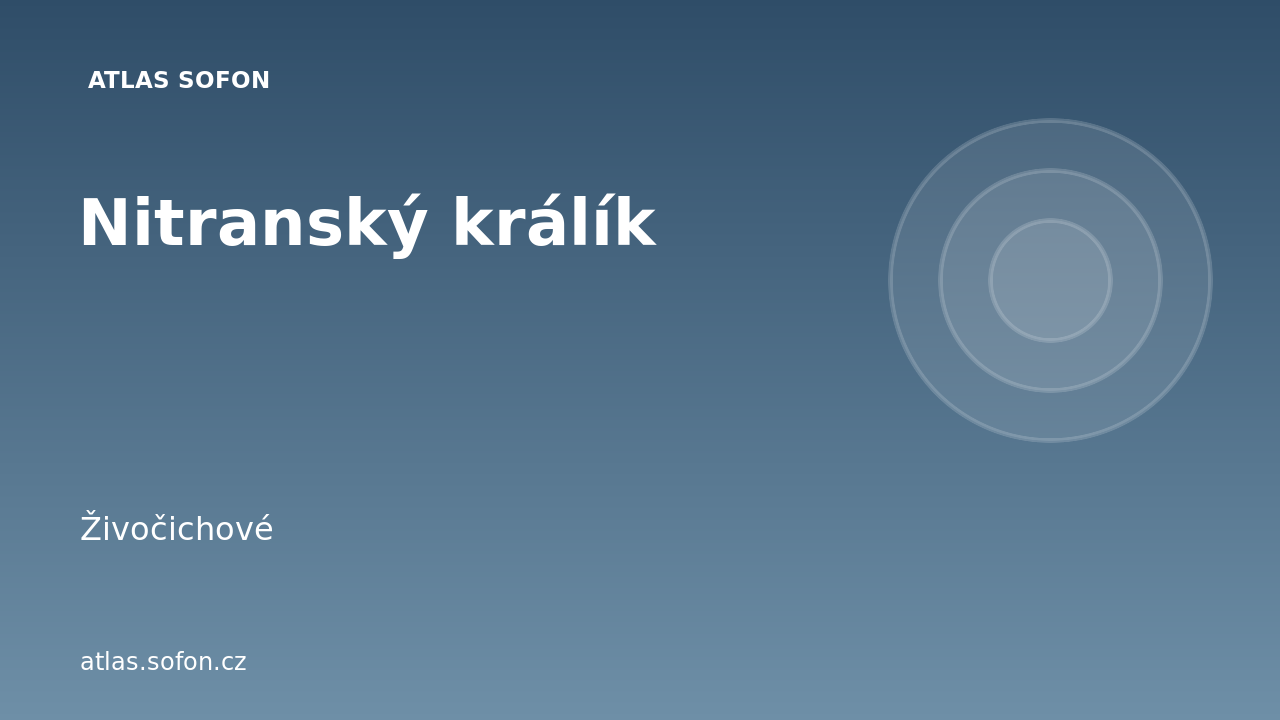 Nitranský králík