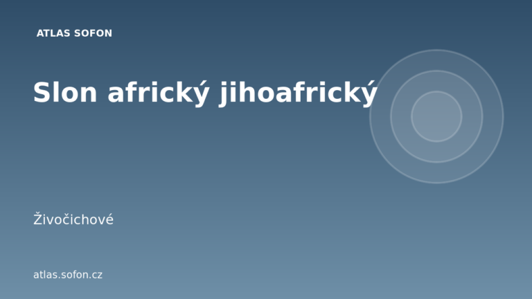 Slon africký jihoafrický