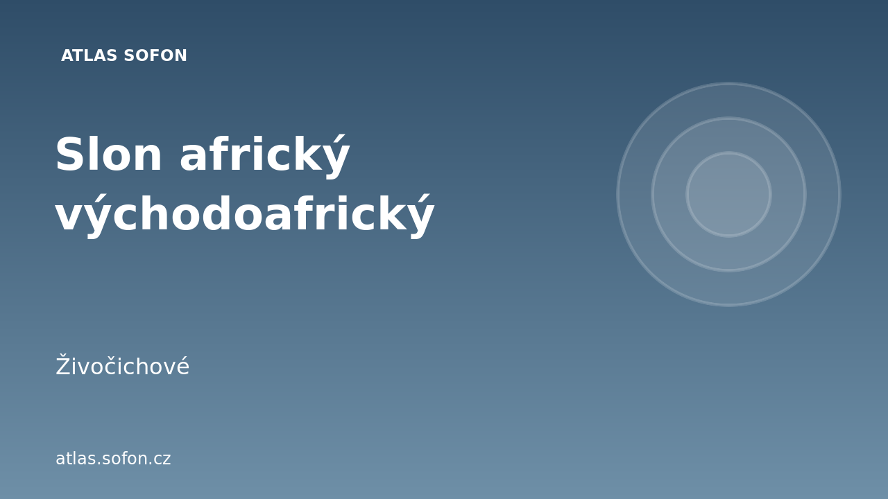 Slon africký východoafrický
