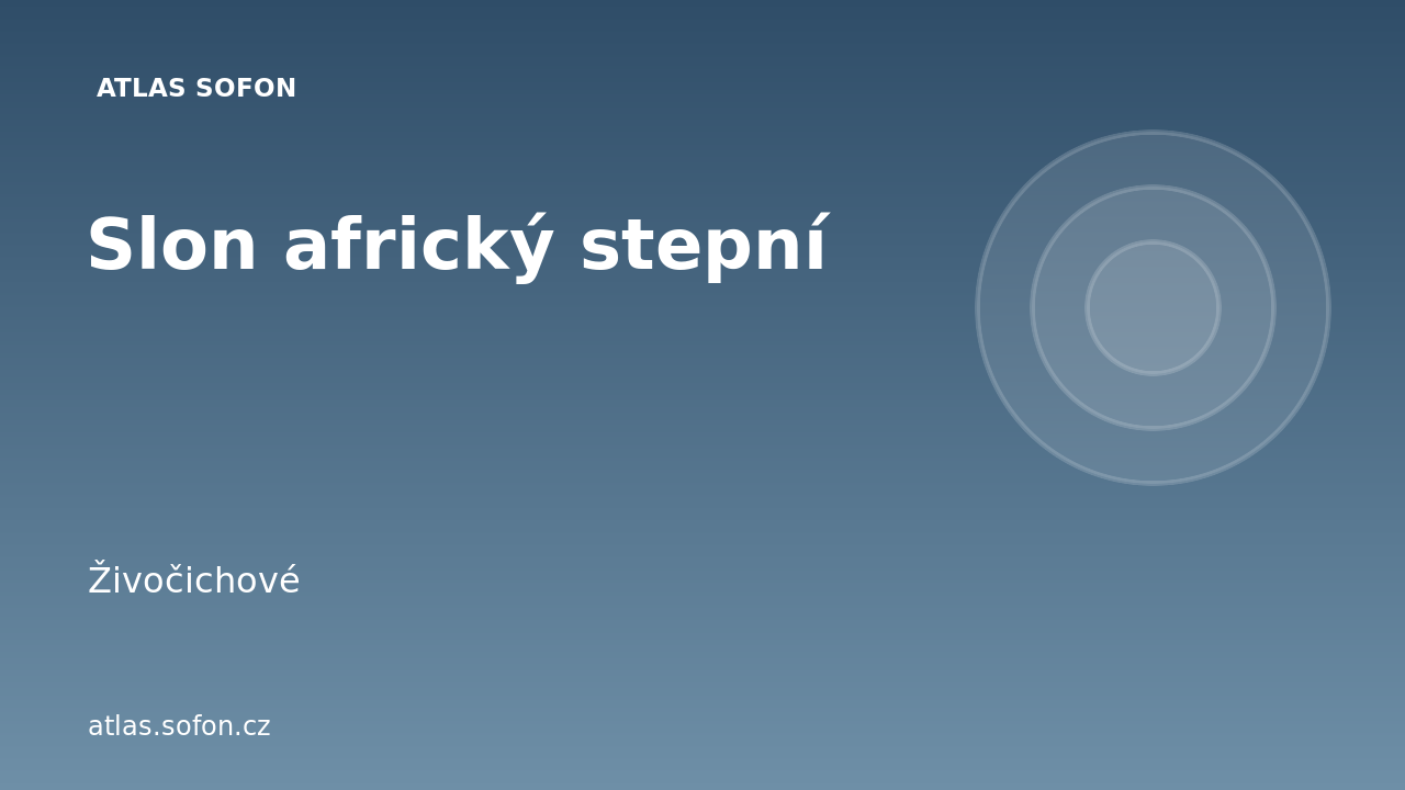 Slon africký stepní