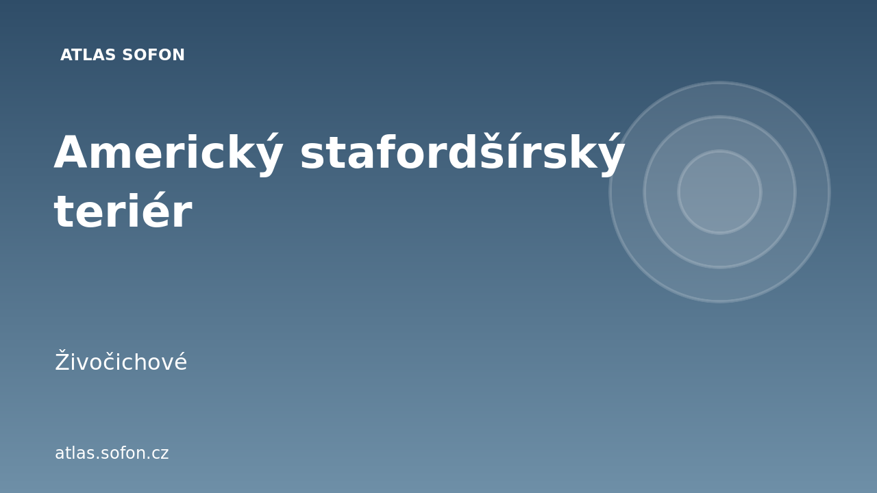 Americký stafordšírský teriér