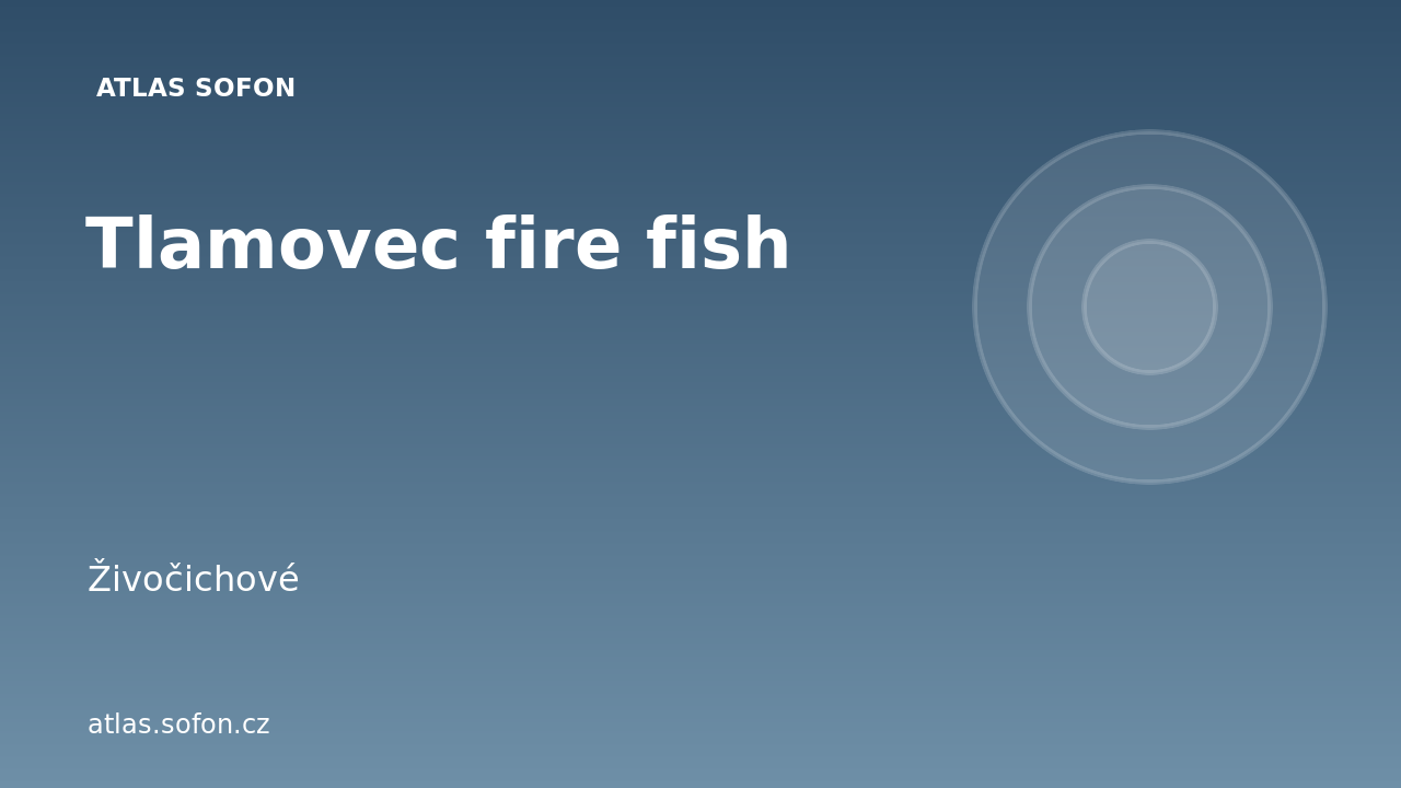 Tlamovec fire fish
