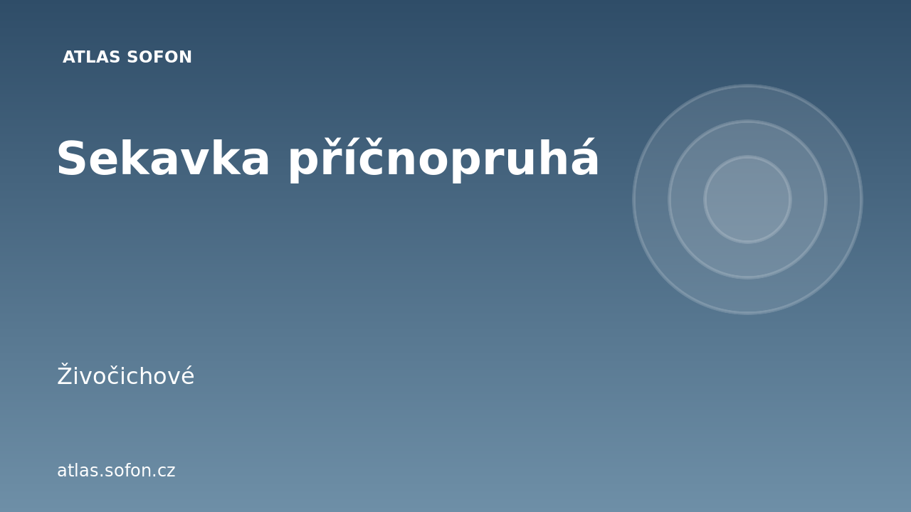 Sekavka příčnopruhá