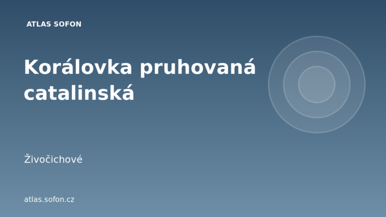 Korálovka pruhovaná catalinská
