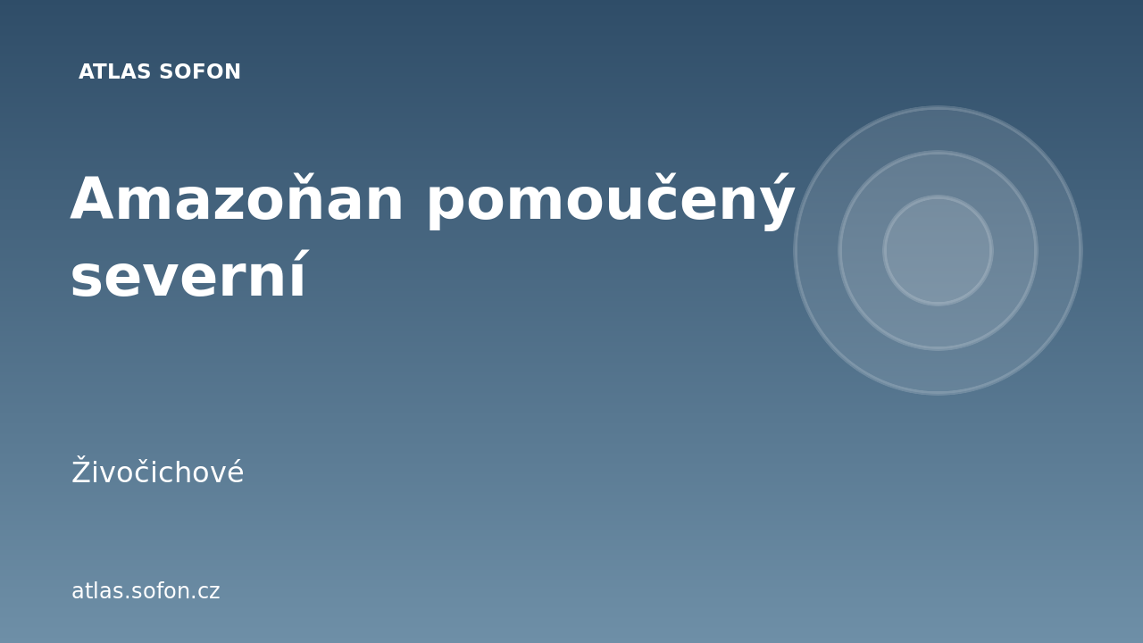 Amazoňan pomoučený severní