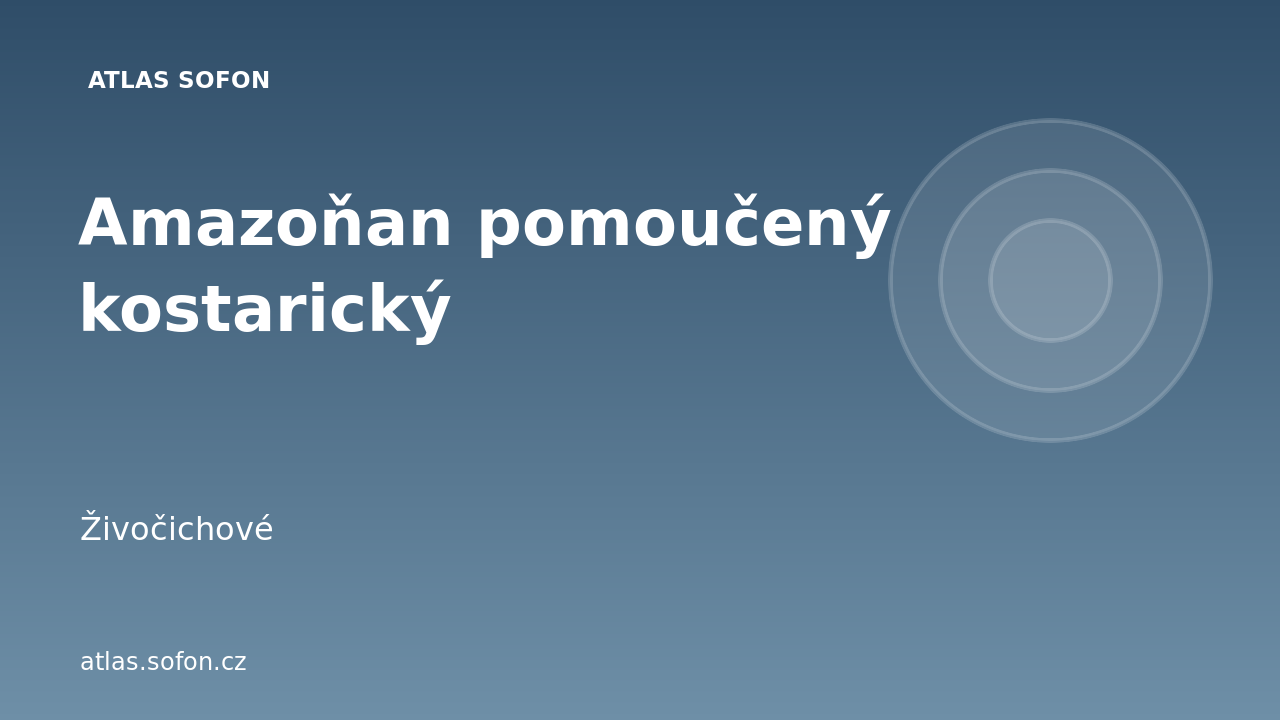 Amazoňan pomoučený kostarický