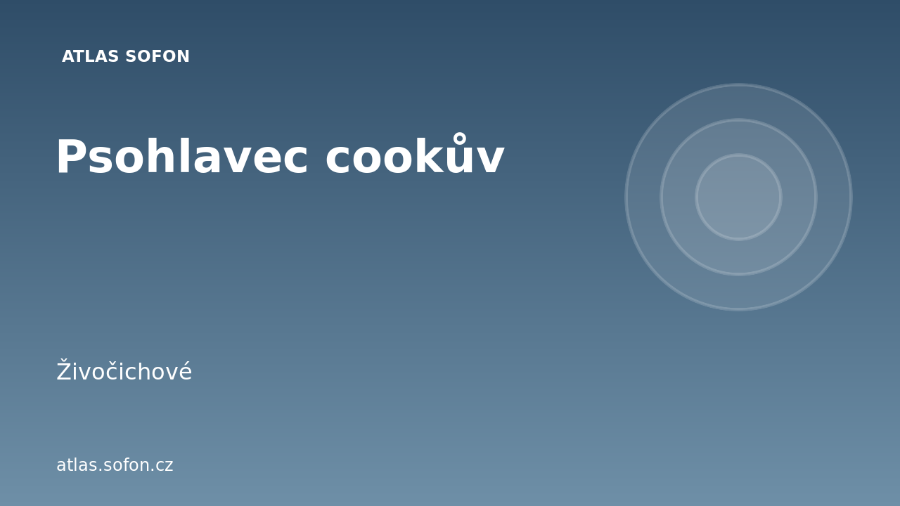 Psohlavec cookův
