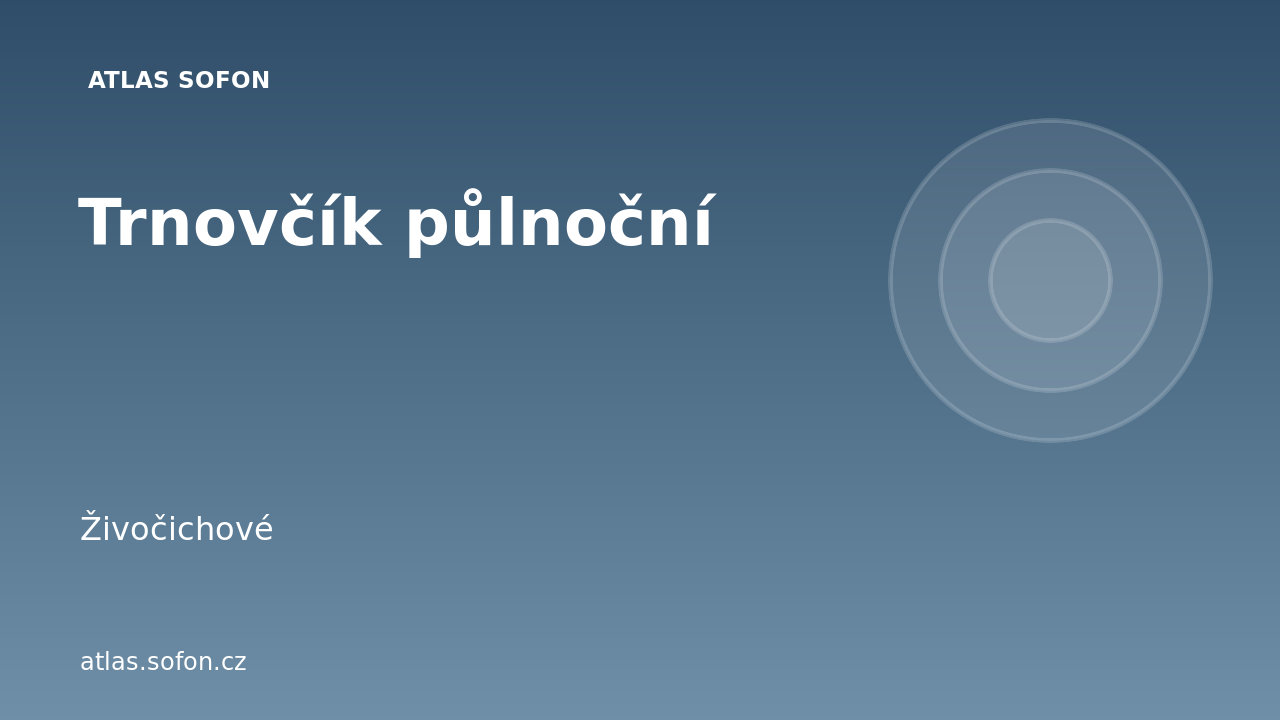 Trnovčík půlnoční