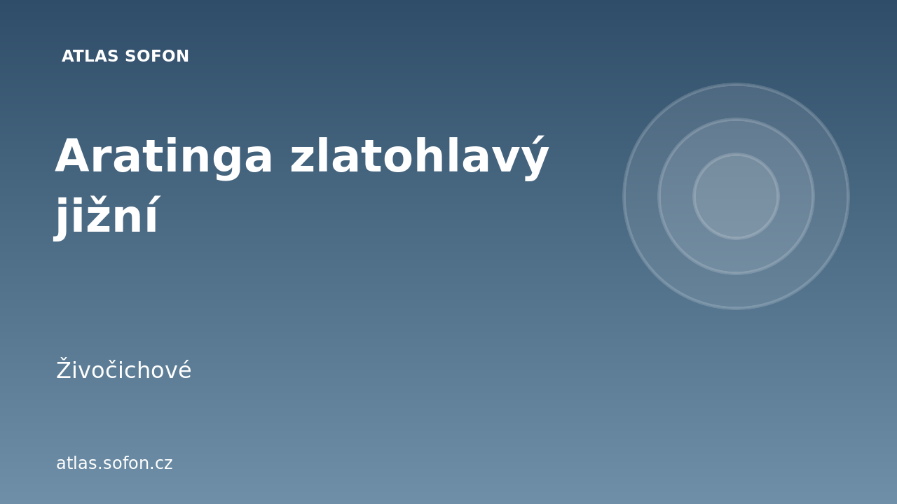 Aratinga zlatohlavý jižní
