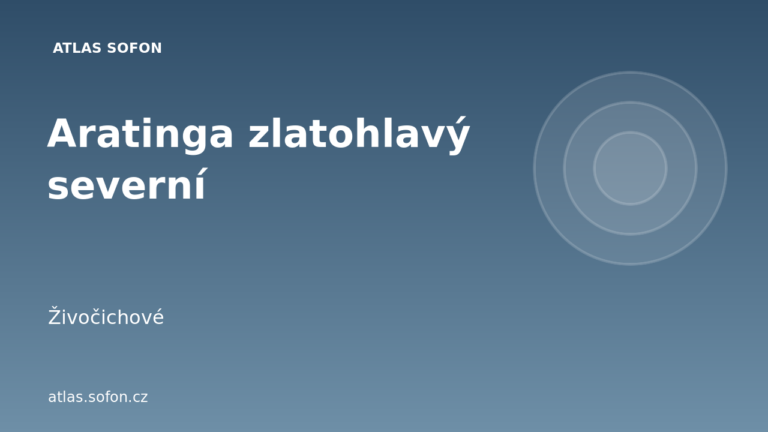 Aratinga zlatohlavý severní