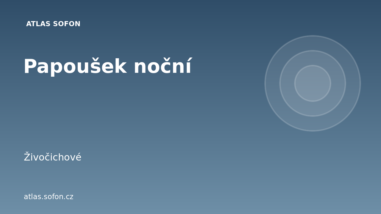 Papoušek noční