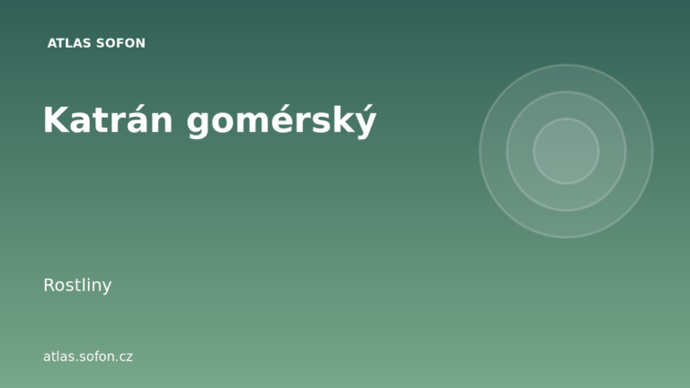 Katrán gomérský