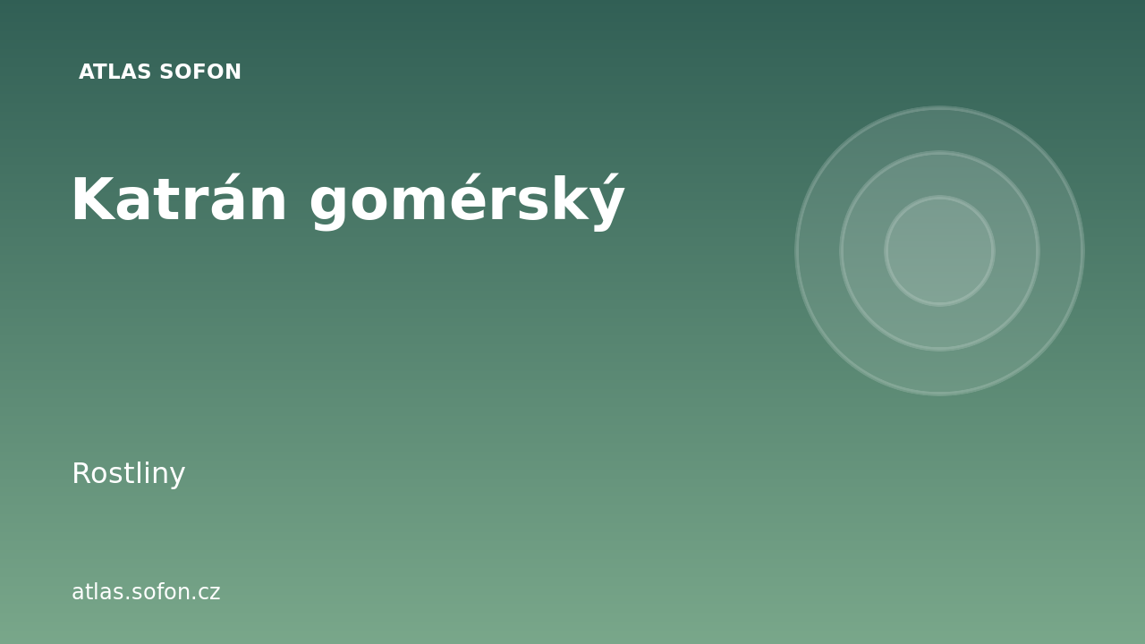 Katrán gomérský