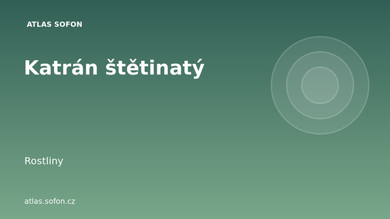 Katrán štětinatý