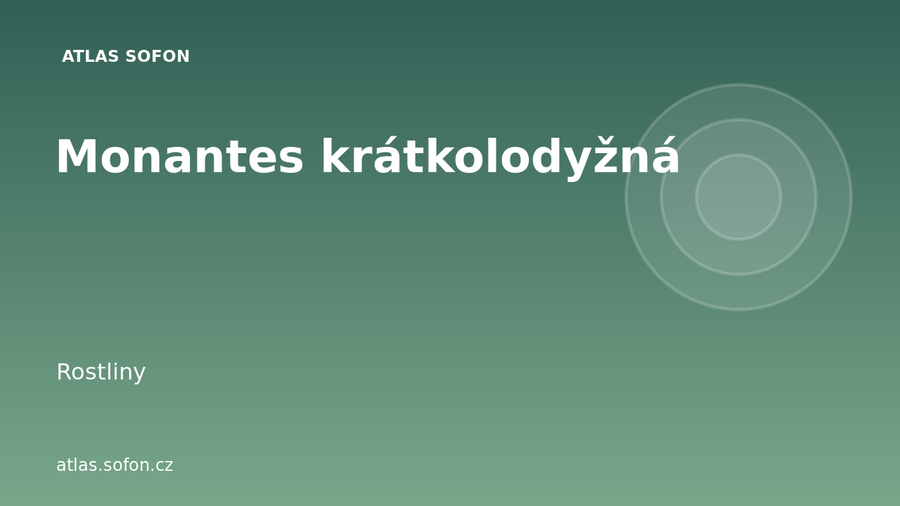Monantes krátkolodyžná