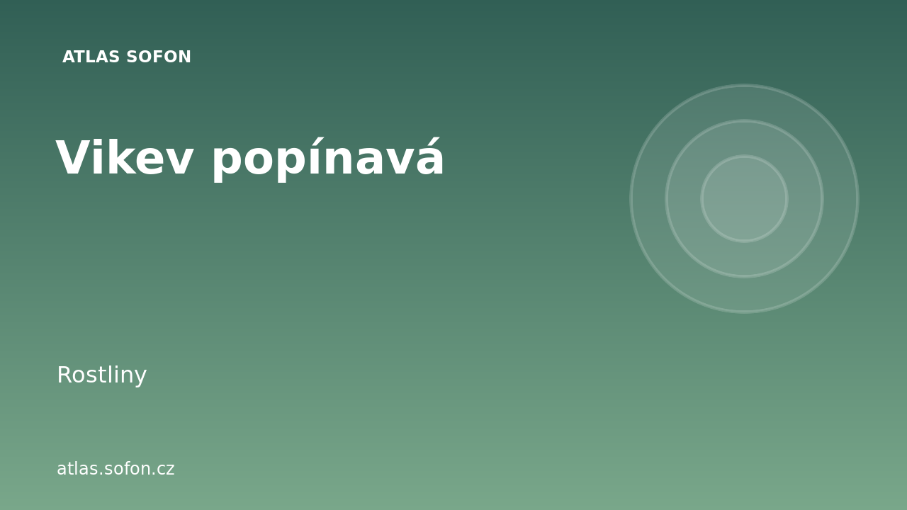 Vikev popínavá