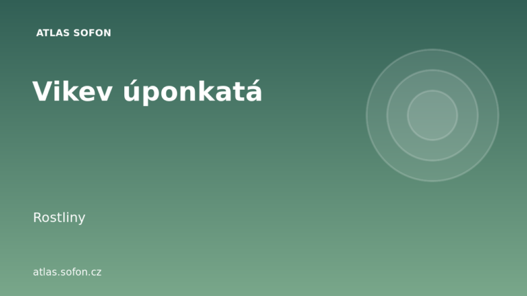 Vikev úponkatá