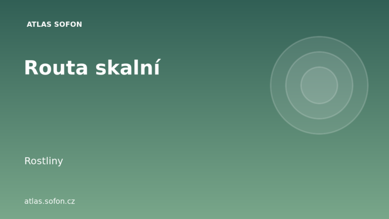 Routa skalní