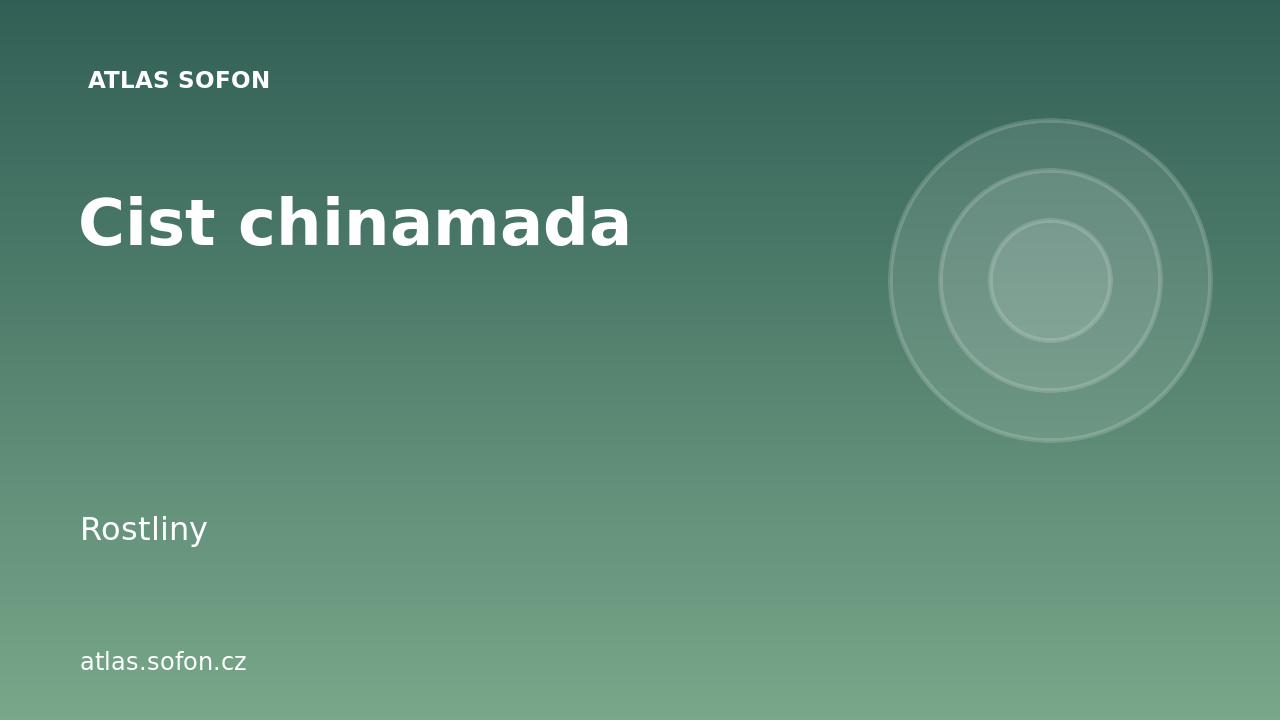 Cist chinamada
