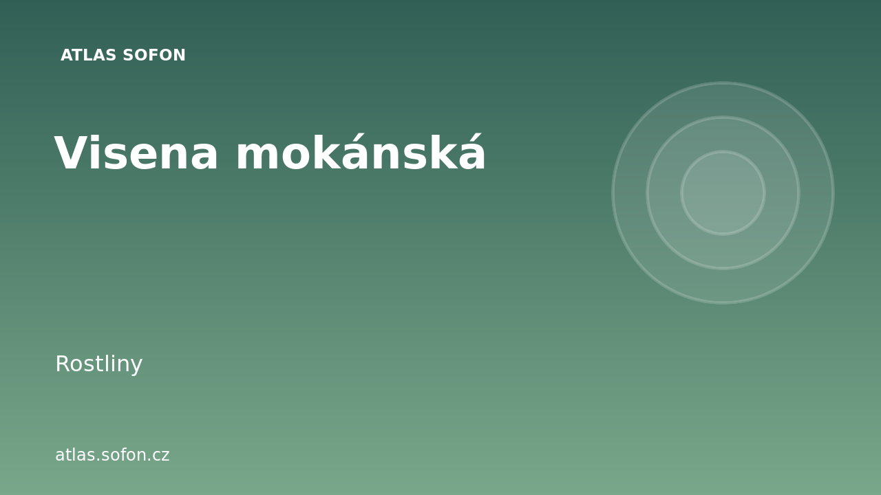 Visena mokánská