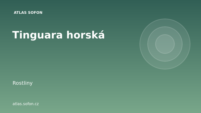 Tinguara horská