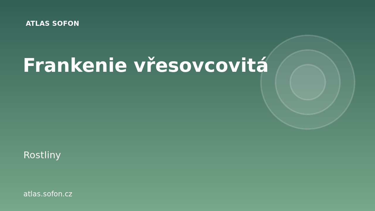 Frankenie vřesovcovitá