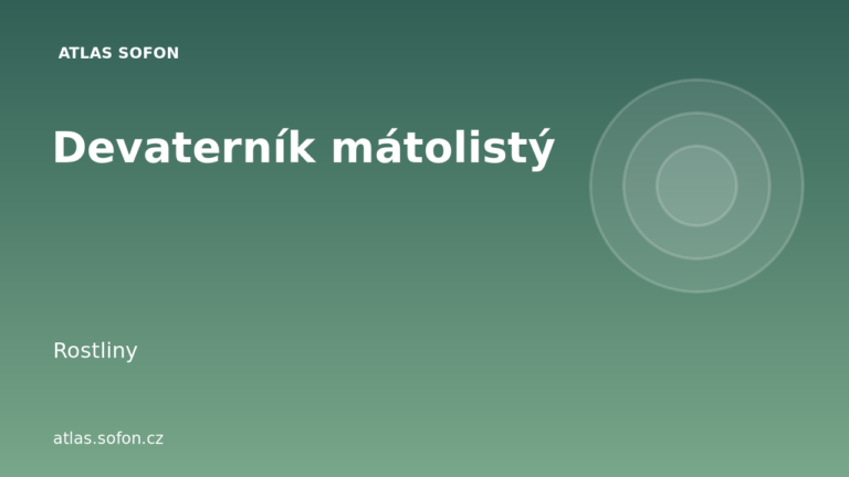Devaterník mátolistý