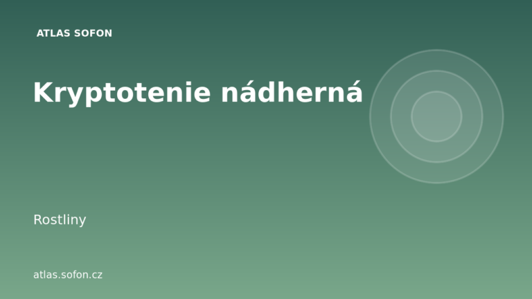 Kryptotenie nádherná Kryptotenie nádherná