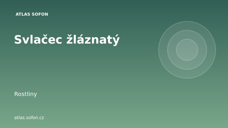 Svlačec žláznatý