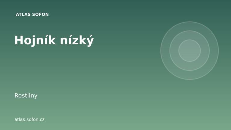 Hojník nízký